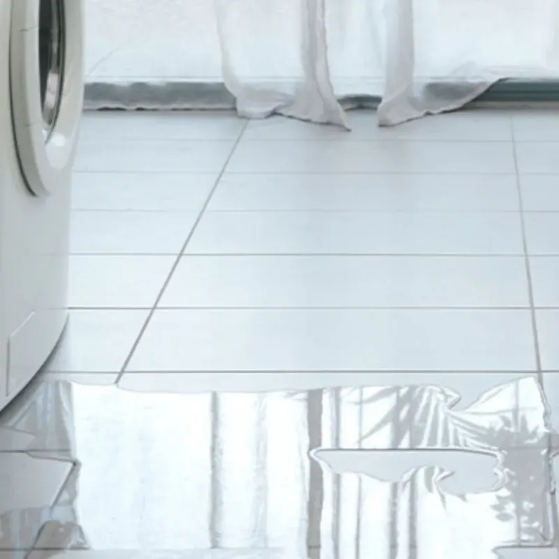Appliance Leak Cleanup in Mountain City, GA
